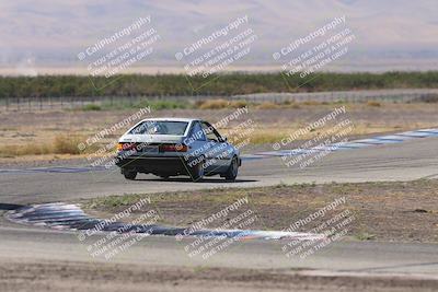 media/Oct-04-2025-OnGrid (Sat) [[44bd565ffa]]/Purple Group/Grapevine/